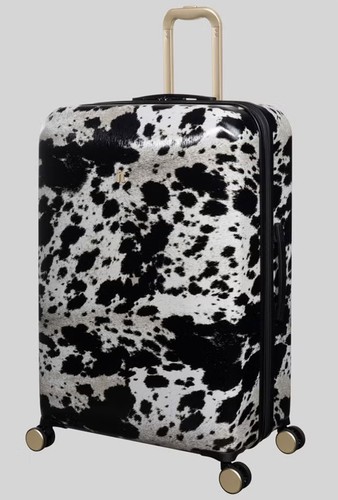Luggage metallic sheen - it,
